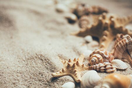 Summer beach vacation or holiday background with sand seashells and starfish. Blurred photo. Place...