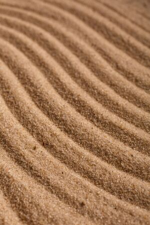 Summer sandy background or texture. Sandy waves near the sea or desert.の写真素材