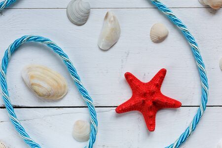Summer background red starfish and seashells on blue wooden background. Summer vacation background. Top view.の写真素材