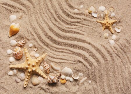 Beautiful seashells on sand with space for product or promotional text. Top view.の写真素材