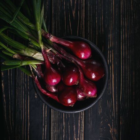 Sprouted red onion in a clay bowl on a dark wooden table. Top view. Ingredient for cooking. Photo for advertising with place for text.の写真素材
