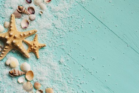 Seashells summer background. Many different seashells, starfish on a background of turquoise wooden...