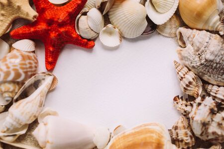 Beautiful seashells and starfish lie on a white background forming a frame. Place for text. Banner...