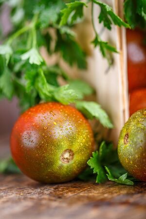 Fresh homemade tomatoes with drops of dew. Great macro food photo. Healthy food.の写真素材