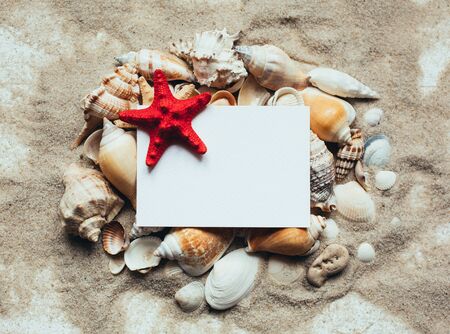 Blank white letterhead with red starfish lying on a pile of seashells. Place for the text. Top view.の写真素材