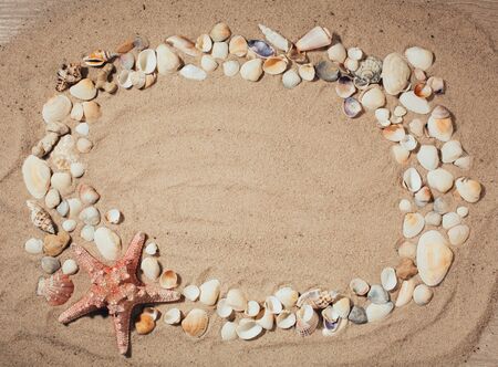 Seashells summer background. Lots of different seashells piled together. For card, frame, flat lay, copy space, top viewの写真素材