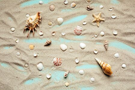 Different types of seashells are spread on sand on a turquoise background. Top view.の写真素材