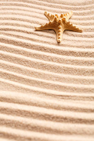 Beautiful summer background. Starfish on sand. Place for text. Marine background.の写真素材