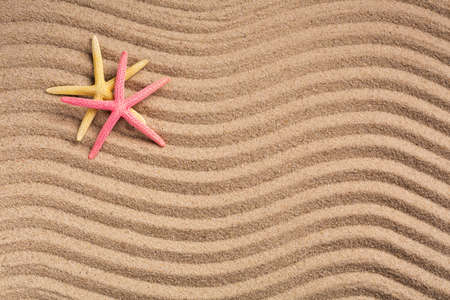 Two colored starfish on a summer beach on textured sand. Place for text. Summer background. Summer time. Photo for banner or advertisement. Top view.の写真素材