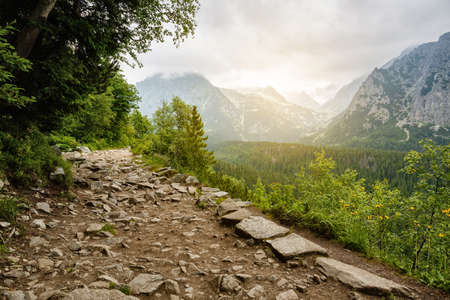 Stones trail in high mountains. Peak peaks in the fog. Vacation and traveler concept. Adventurer Concept. High Tatras mountains.の写真素材
