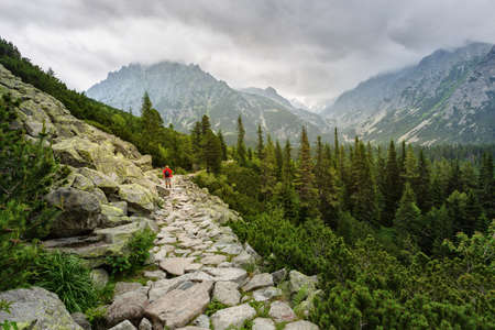 Rocky trail high in the mountains. Beautiful landscape. Adventurer Concept. High Tatras mountains.の写真素材