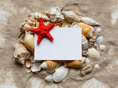Many shells and red starfish are lying on the sand. Blank white blank with place for text. Souvenirs for travel, travel, leisure. Marine cruise theme. Top view. Sea, sand, beach.の写真素材