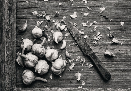 Garlic in burlap. Peeled garlic cloves, garlic bulb on a dark background. Healthy eating concept. White and black.の写真素材