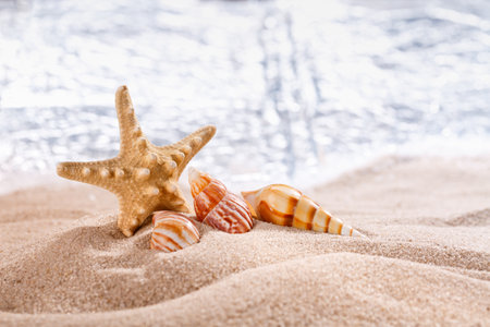 Sea shells and big starfish in the sand at sea. Close up, blurred background. Sea, sand, beach. Natural materials and travel in the summer.の写真素材