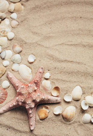 Beach summer vacation background with seashells and starfish. Place for text.の写真素材