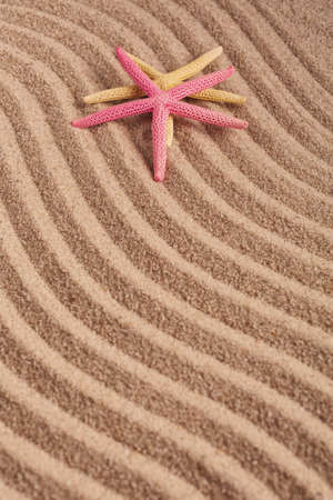 Two colored starfish on textured wavy sand. Top view.の写真素材