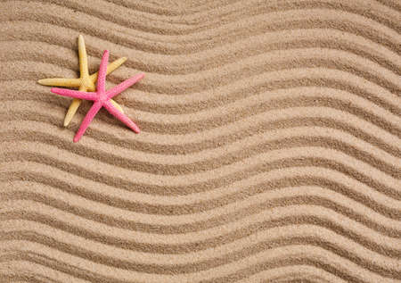 Two colored starfish on sand and warm sun light with copy space . Summer holidays travel concept. Space for textの写真素材
