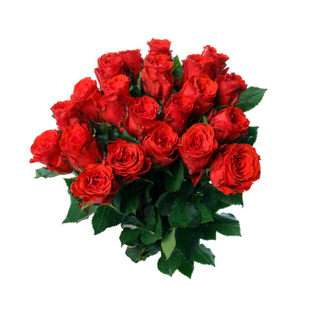 Bouquet of bright red roses on a white background. Place for text. Greeting card.の写真素材
