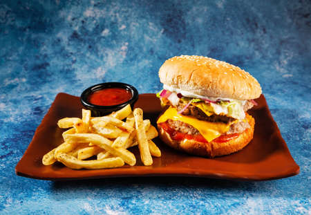 Burger. Juicy pork cutlet, cheddar cheese, crispy pickled onions, lettuce wrapped in a bun under two sauces. Served with french fries and cream sauce.の写真素材