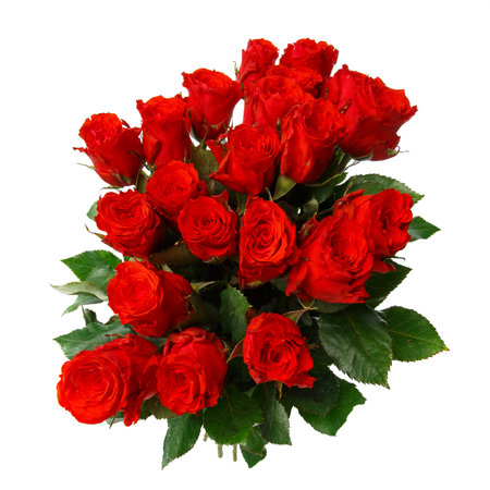 Beautiful red roses close up on a white background.の写真素材