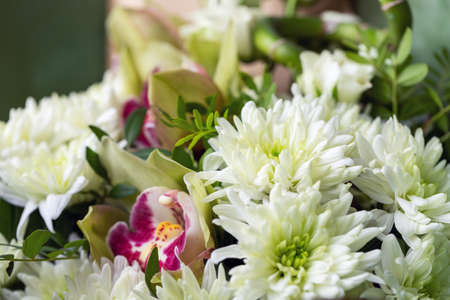 Close up of white chrysanthemums stacked in a bouquet.の写真素材