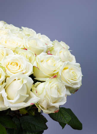 Close up of a bouquet of white roses on a gray background.の写真素材