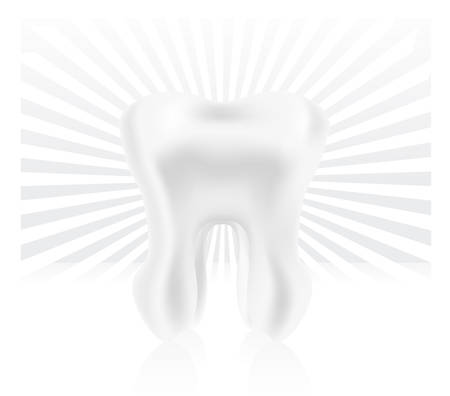 photo-realistic tooth illustrationのイラスト素材