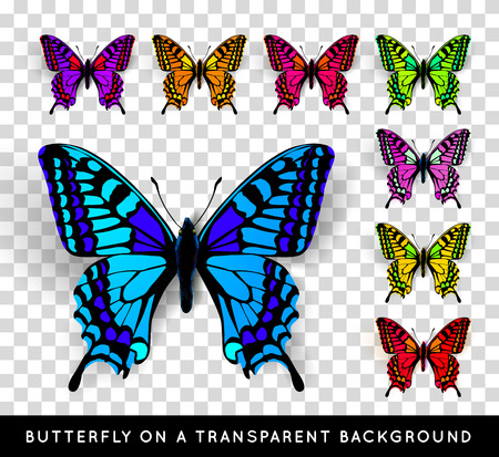 Realistic butterfly on transparent background. Vector illustration of a top viewのイラスト素材