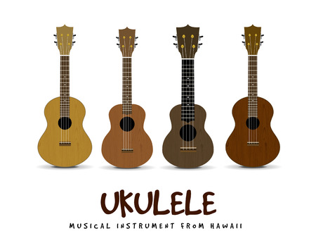 Ukulele vector illustration on white backgroiundの写真素材