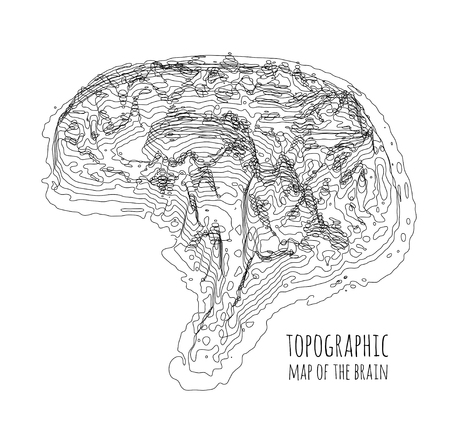 The brain in the form of a topographic map. The concept of modern technology, data transfer between neurons.のイラスト素材
