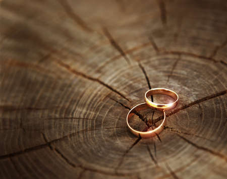 Two wedding rings lying on a wooden stump close-up. Wood cut texture on background