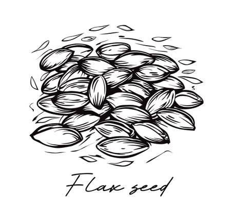Flax seed hand drawn black and white vector illustrationのイラスト素材
