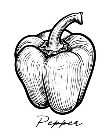 Pepper hand drawn black and white vector illustrationのイラスト素材