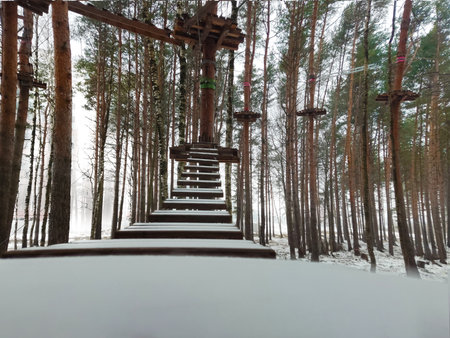 An image of a wooden ropes course structure amongst tall trees in a snowy forest setting.の写真素材