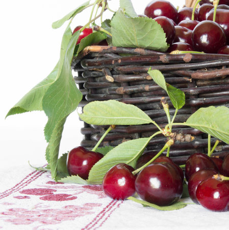 Bunches of red cherries on a white backgroundの写真素材