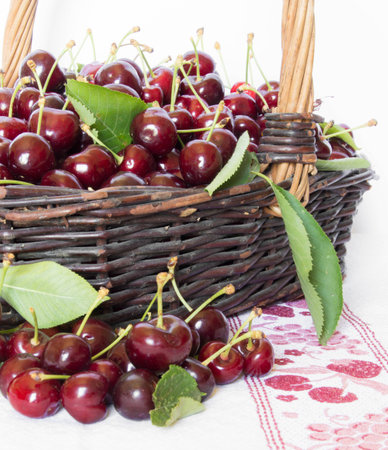 Bunches of red cherries on a white backgroundの写真素材