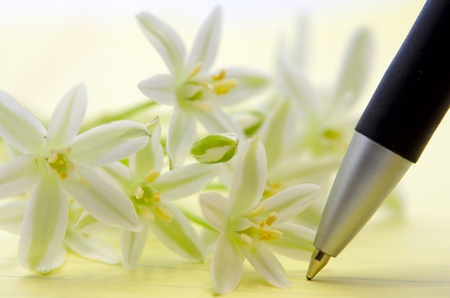 Romantic note for the womanの写真素材