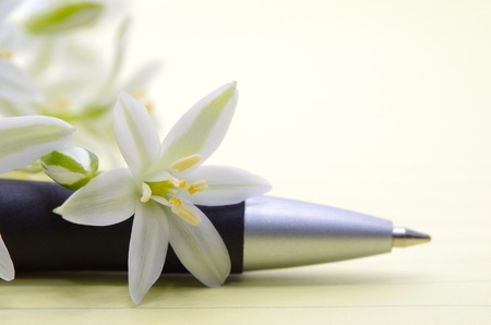 Romantic note for the womanの写真素材