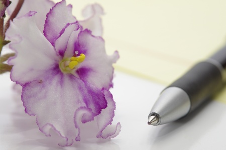 Romantic note for the womanの写真素材