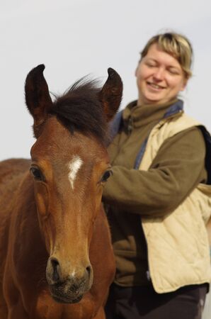 Woman which care about the horses at the farmのeditorial素材