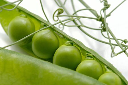 Green peas against the white background by the closeupの写真素材