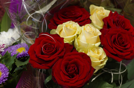 Festive bouquet of red and yellow roses close-up の写真素材