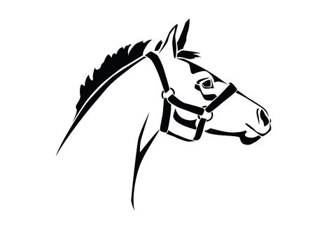 Stencil horse's head on a white backgroundのイラスト素材