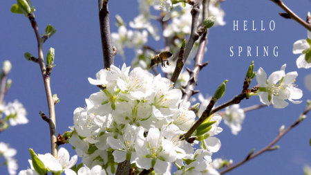 hello spring, spring equinox conceptの写真素材