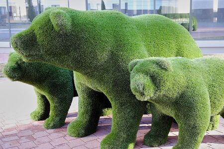 toy bears made out of grassの写真素材