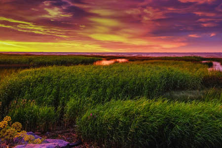 The beautiful sunset landscape of the Gulf coast.の写真素材