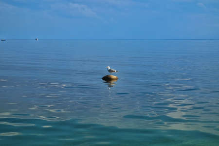 Gulf of Finland at sunsetの写真素材
