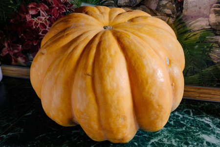 pumpkin for Halloween with eyes and mouthの写真素材