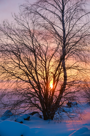 the magical colorful sunset on the winter seaの写真素材