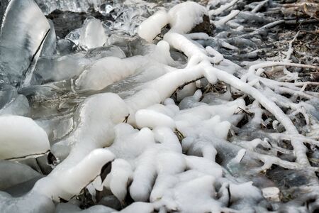 the frozen leaves and tree branches sparkling ice